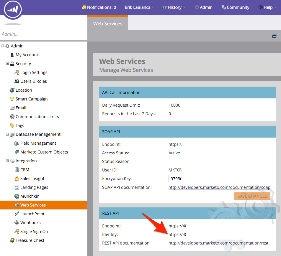 Marketo Admin.png